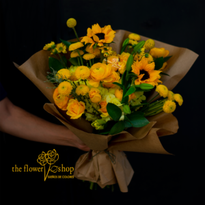 Destello de Sol