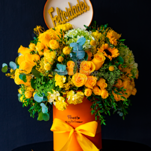 Gala de Oro